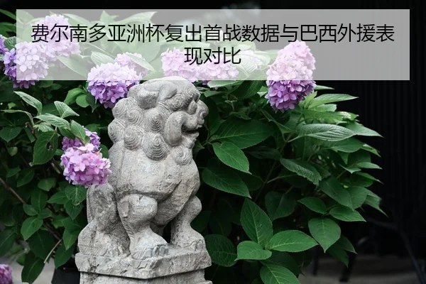 费尔南多亚洲杯复出首战数据与巴西外援表现对比